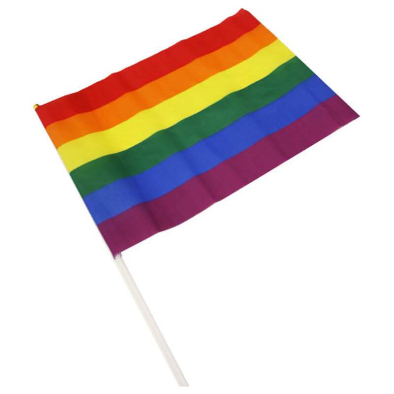 Banderín PRIDE con bandera arcoíris y asta blanca en vista inclinada.