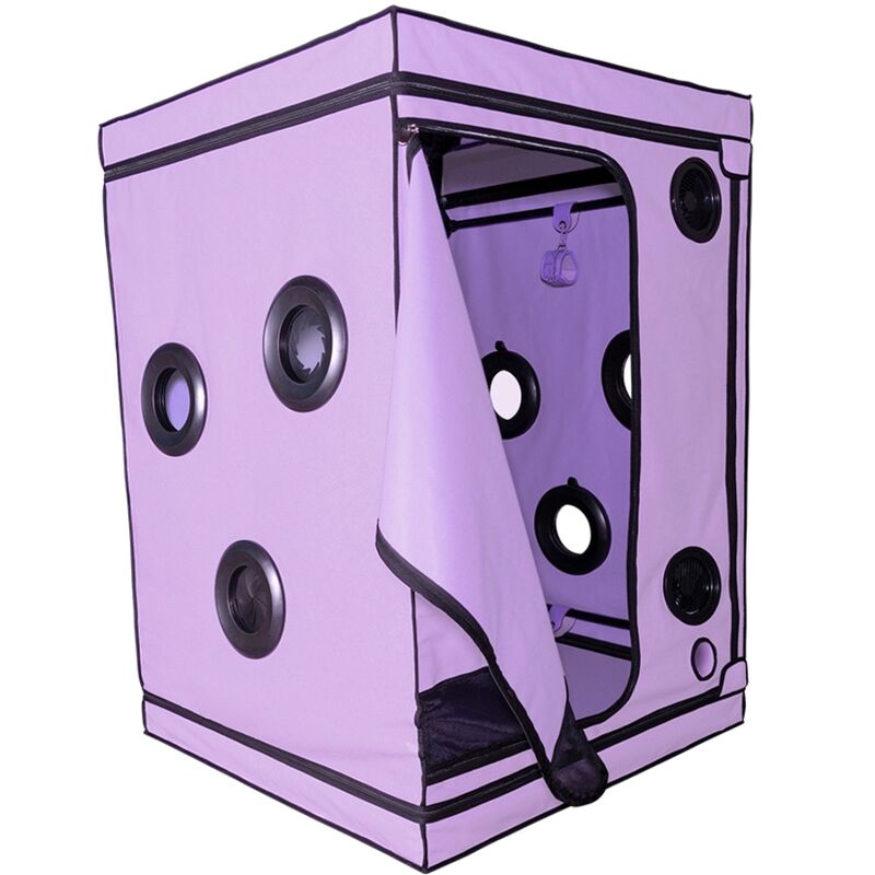 Cabina Kink Club Secret Dome SCANDALE morada con abertura frontal y ventilaciones redondas.