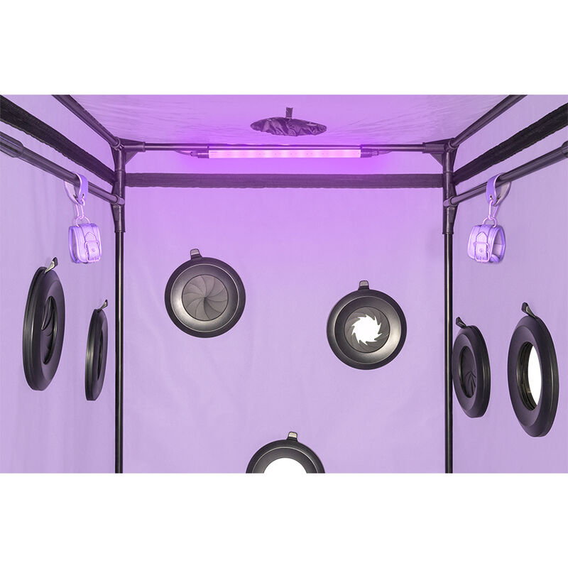 Detalle de la cabina Kink Club Secret Dome SCANDALE en morado, con estructura negra y varias aberturas circulares.